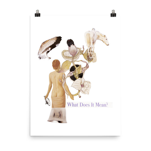 What does it Mean : Photo paper poster