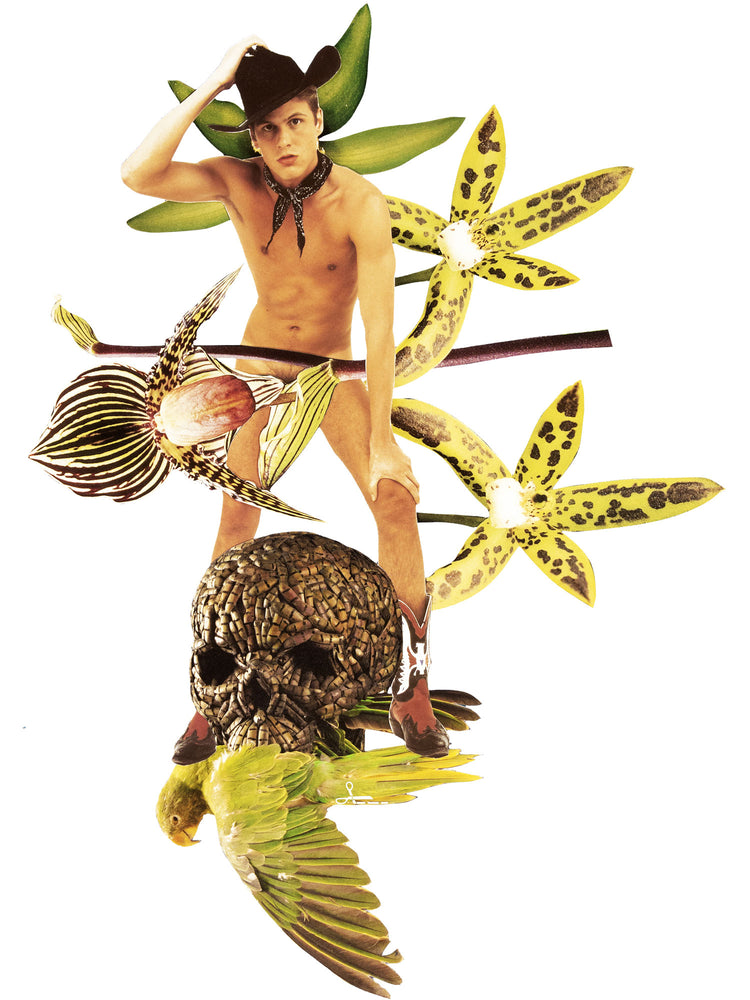 Cowboy's Vanitas