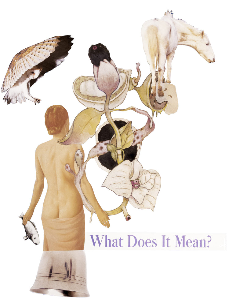 What does it Mean ?