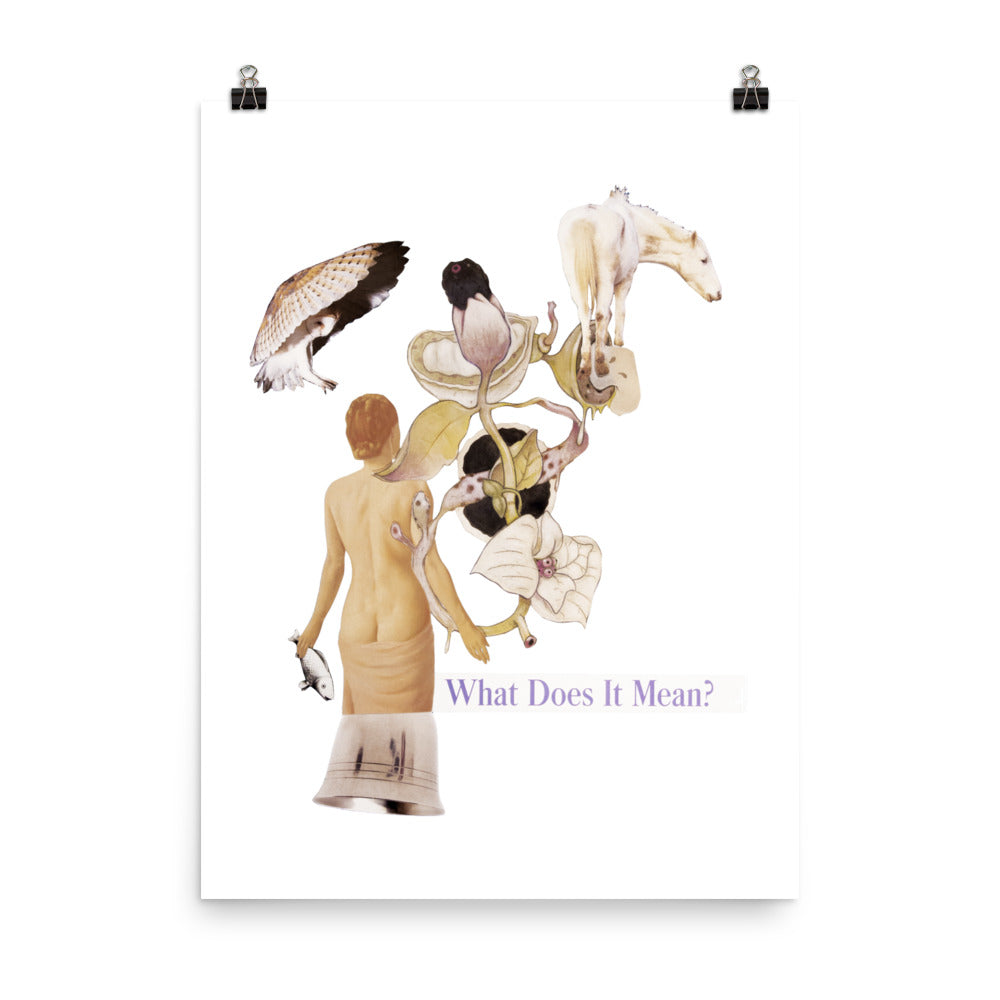 What does it Mean : Photo paper poster
