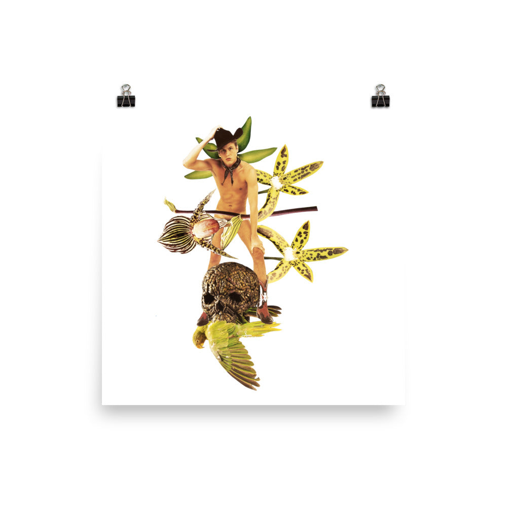 Cowboy's Vanitas : Photo paper poster