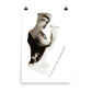 Playing the Innocent : Photo paper poster