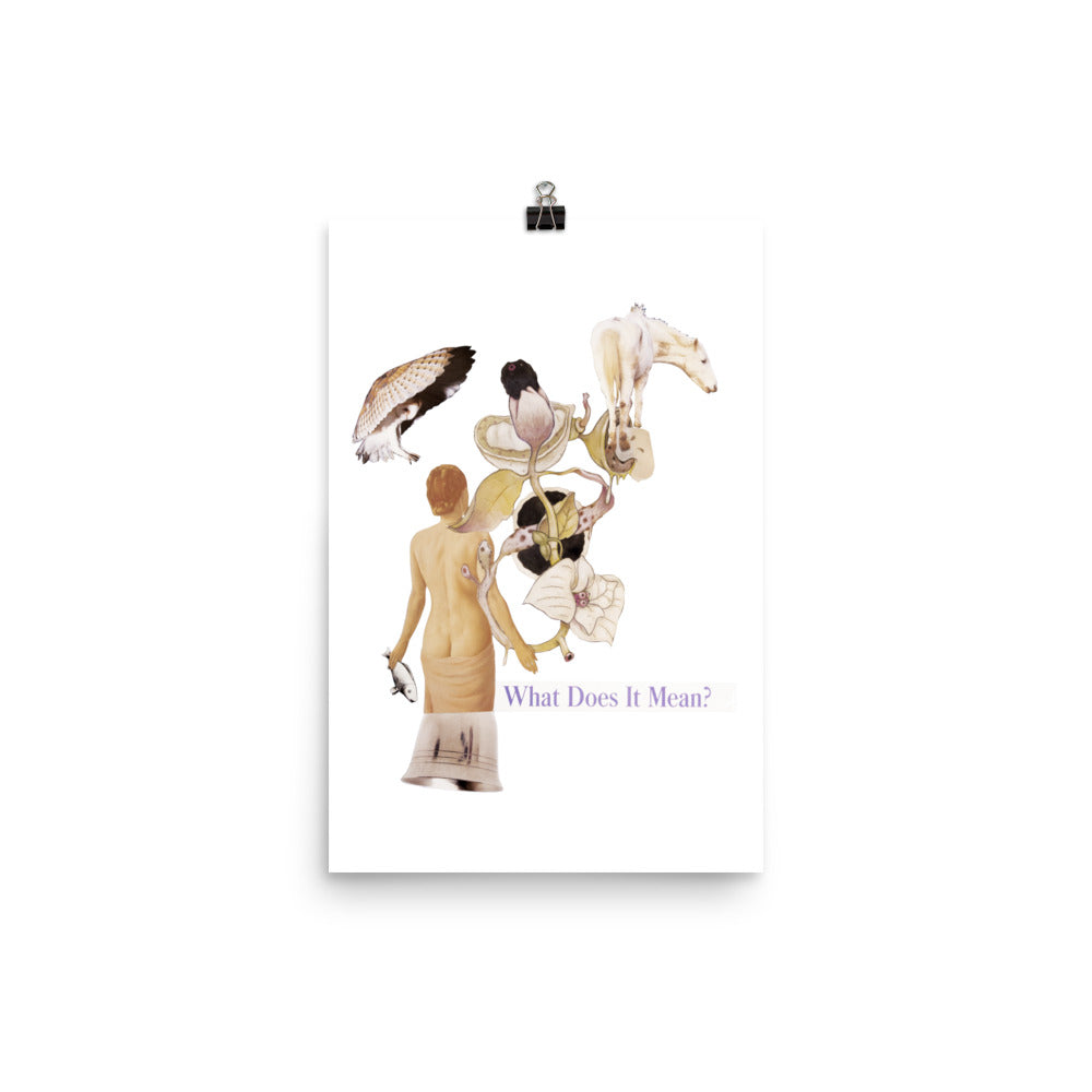 What does it Mean : Photo paper poster