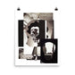 Narcisse Bull : Photo paper poster