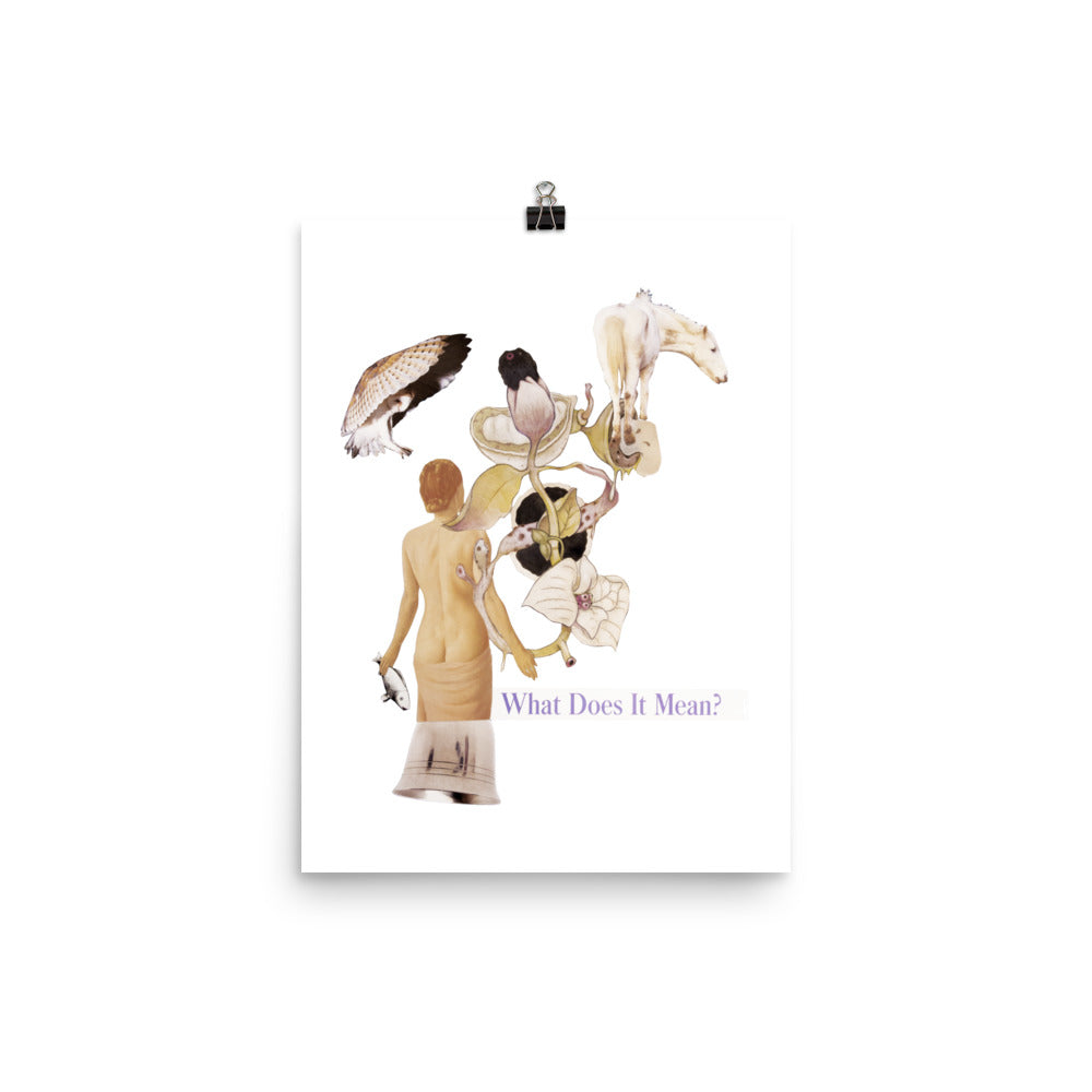 What does it Mean : Photo paper poster