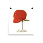 Se requinquer : Photo paper poster