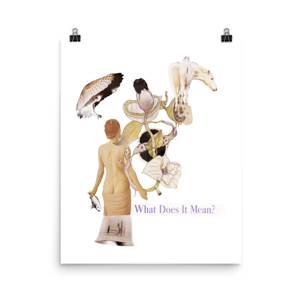 What does it Mean : Photo paper poster