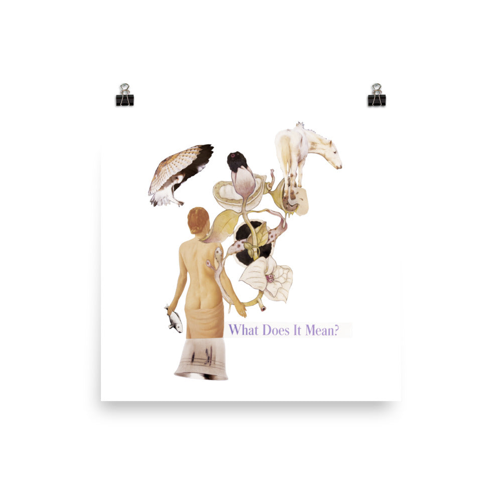 What does it Mean : Photo paper poster